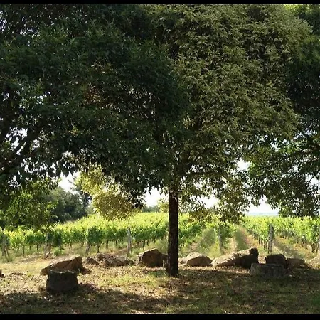 Panoramic In The Siena Hills